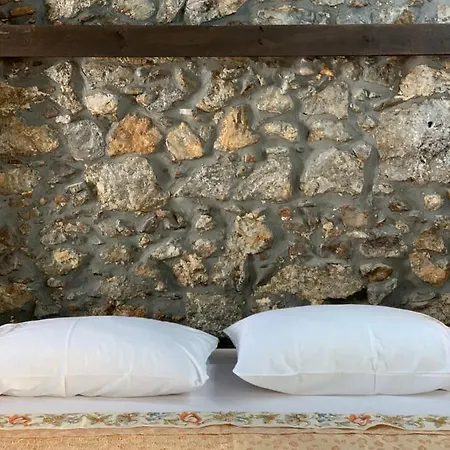 Conte's House Apartment